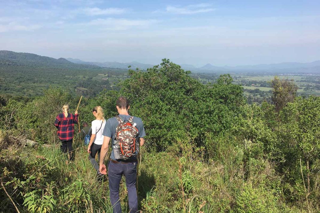 Gorilla Trekking in Uganda