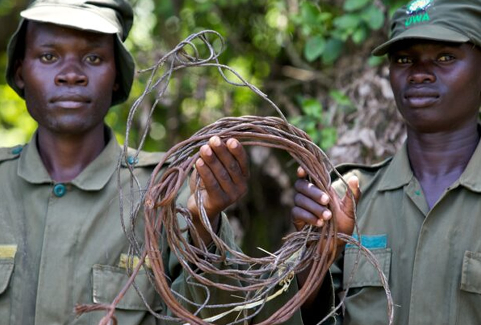 UWA Rangers